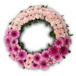 גלגל אבל ורוד לבן